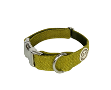 Load image into Gallery viewer, Amazon Moss Harris Tweed Dog Collar