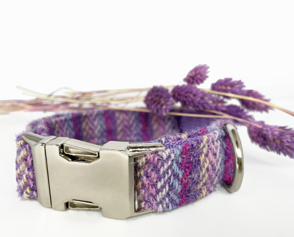 Lilac Sprinkles Harris Tweed Dog Collar